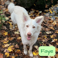 Photo of Faye, all grown up